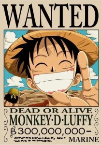 ​五本海贼王同人小说合辑：该怎么写好动漫同人小说？