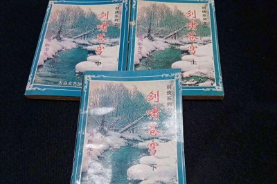 ​一本冒牌卧龙生武侠小说，美人多香艳，少侠当盟主