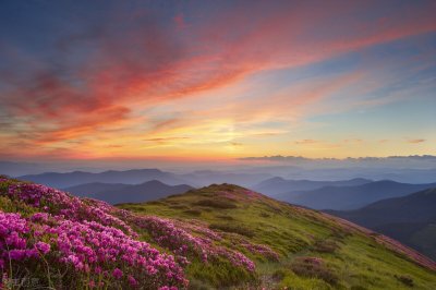 ​精挑细选的三本长生不死的小说，设定新奇，是书荒的不二之选！