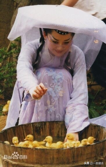 金庸武侠小说之八——《笑傲江湖》