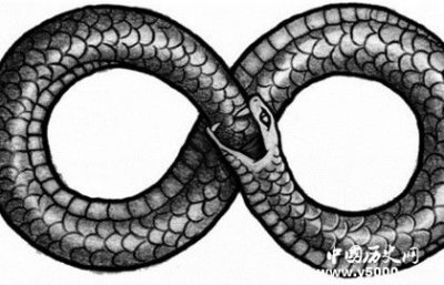 ​衔尾蛇：自古代流传至今象征循环的常见符号