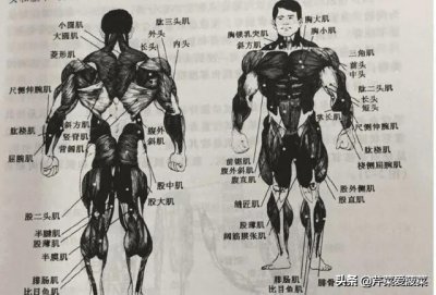 ​高考“体育生”：这7个大学专业正好合适！填报志愿可参考！