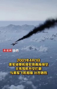 ​王伟81192撞击美军侦察机捍卫国家主权最后一句我已无法返航