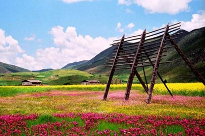 ​畅游香格里拉小中甸花海特色路线推荐