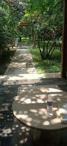 ​“谦受益，满招损”这句话的出处是哪里