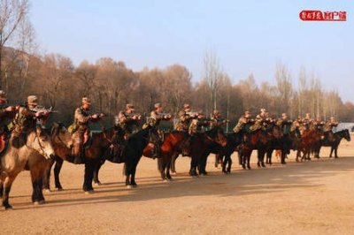 ​喂马、劈柴、周游世界，这片高原上藏着诗人海子的梦