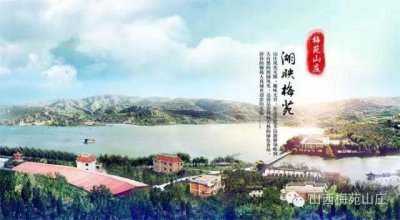 ​梅苑山庄：健康梅苑、养生山庄