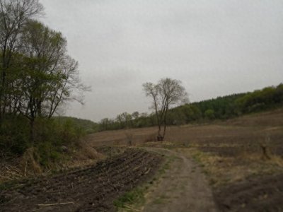 ​在中国没有民族歧视但一直有地域黑