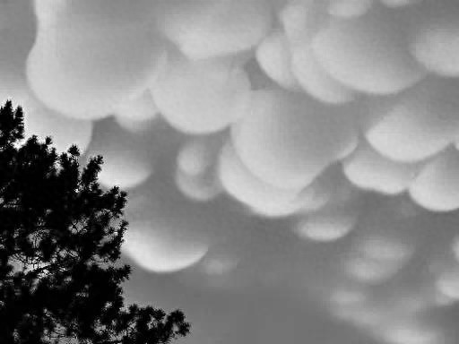 乳房云，你可能一辈子都难得一见