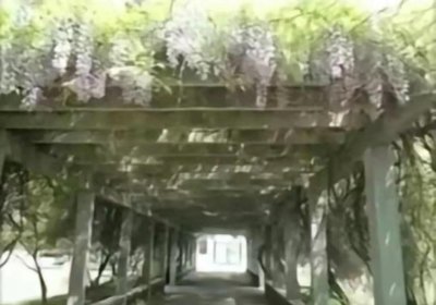 ​已经成为回忆的十张图片，一定曾在你记忆里出现！