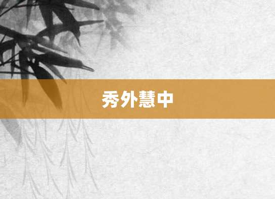 秀外慧中
