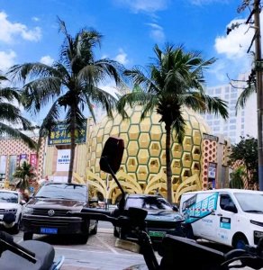 ​欣赏赵本山投资在三亚所建的＂三亚大树酒店＂