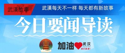 ​武汉地铁18号线：盘龙城期待已久的交通大动脉