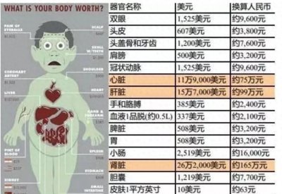 ​我们身体的器官到底价值多少？