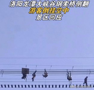 ​突发，河南景区网红桥侧翻，游客倒挂半空中，游客：当时吓破胆！
