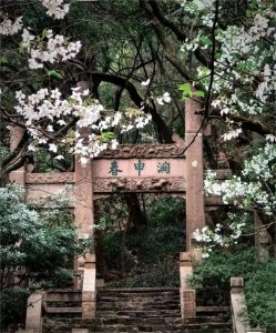 ​无锡春申路的历史起源与文化象征：春申君黄歇的传奇故事