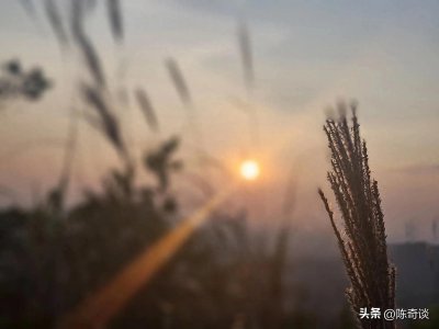 ​异地恋如何过好情人节？