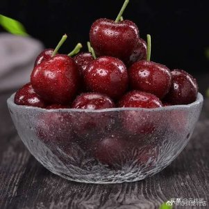 ​樱桃一次结果上万斤，为何价格还那么贵？看完果农采摘就知道