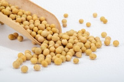 ​为什么中国大豆主要靠进口？