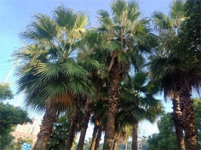 ​千万别好奇进入暗网，我的一次经历，好久都不舒服