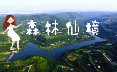 ​闯入苍溪清凉的森林仙境吧~现实版的“绿野仙踪”