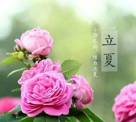 立夏的来历和风俗,立夏的由来20字?图5