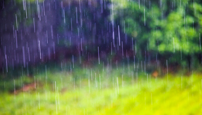 入梅到出梅一共多少天