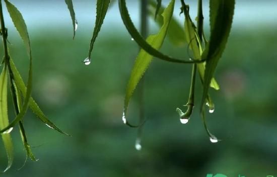 梅雨季节是每年的几月