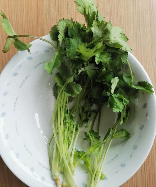 香菜古时候叫什么