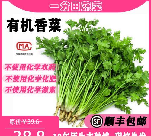 芹菜和香菜(芫荽)有没有亲缘关系