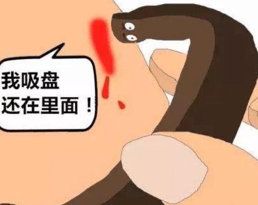 蚂蟥一种让人又爱又恨的生物,这种蚂蟥如果被误食在人体内能繁殖