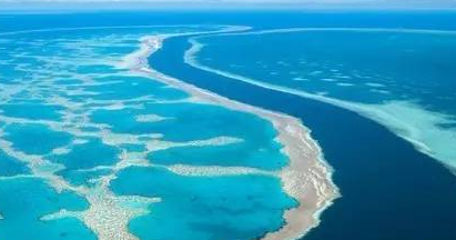 世界上最大和最小的海是什么