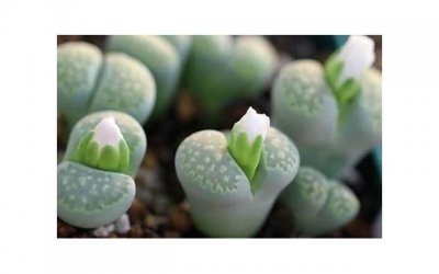 ​老公出轨又不愿意离婚怎么办（但是我们不愿意离婚）