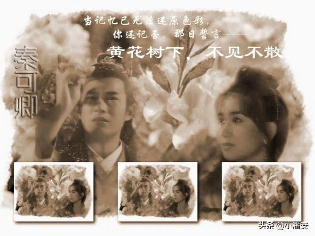 秦可情念念不忘的“黄花树下不见不散”