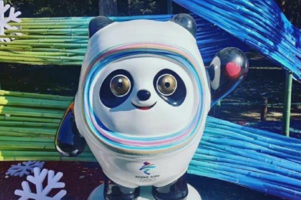 冰墩墩曾考虑过叫冰墩儿 “冰墩墩”为何这么火 冰墩墩曾考虑过叫冰墩儿 “冰墩墩”为何这么火