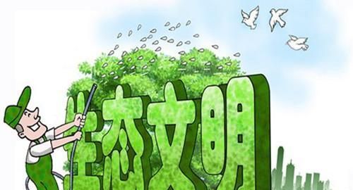 6项原则是生态文明思想的核心内涵