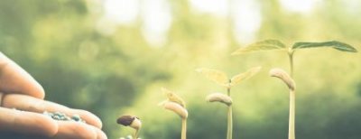 ​个人社保如何转移到异地社保如何转移异地