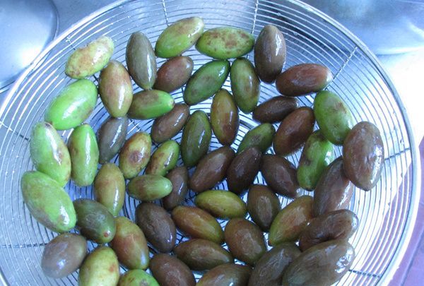 金香榄可以直接吃,生橄榄嚼着吃致癌 能不能直接嚼着吃生橄榄呢图4