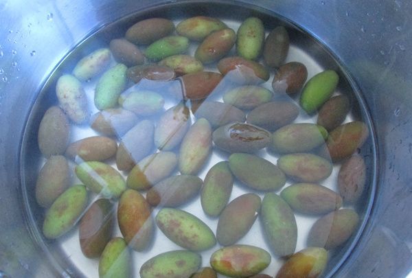 金香榄可以直接吃,生橄榄嚼着吃致癌 能不能直接嚼着吃生橄榄呢图3