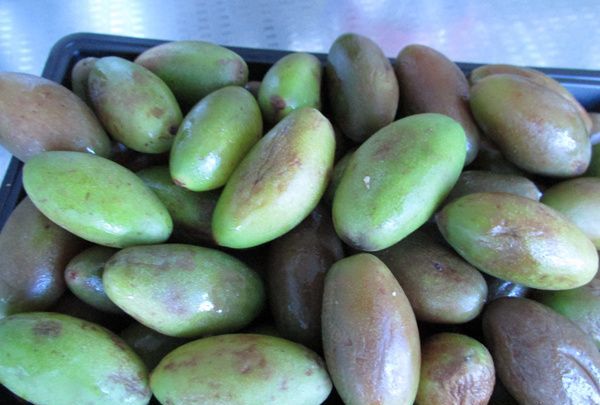 金香榄可以直接吃,生橄榄嚼着吃致癌 能不能直接嚼着吃生橄榄呢图2