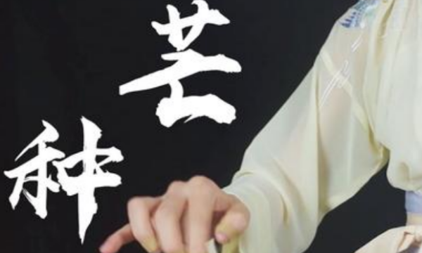 芒种,《芒种》原唱歌词图2