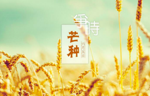 芒种,《芒种》原唱歌词图4