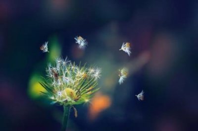 ​烤箱顶部油渍怎么清除干净怎么样能把衣服上的油污洗干净