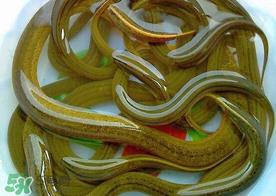 三月份可以钓黄鳝吗?几月可以钓黄鳝? 三月份可以钓黄鳝吗?几月可以钓黄鳝?