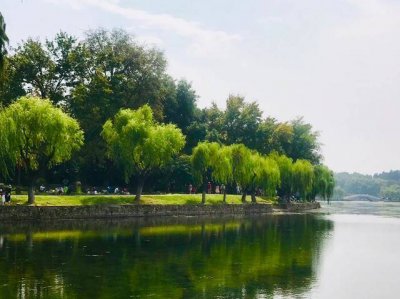 ​三年级下册的多音字和形近字 三年级下册多音字形近字