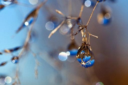 写寒露的诗有哪些?