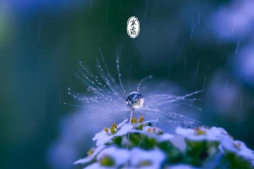 写寒露的诗有哪些?