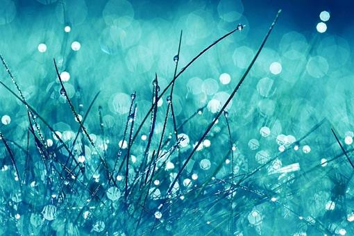 写寒露的诗有哪些?