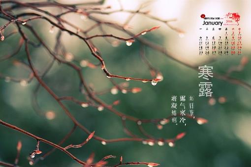 写寒露的诗有哪些?