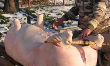 寒香见梳洗之刑是真的吗